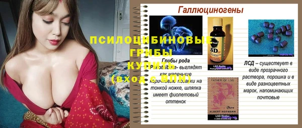 круглые Алзамай